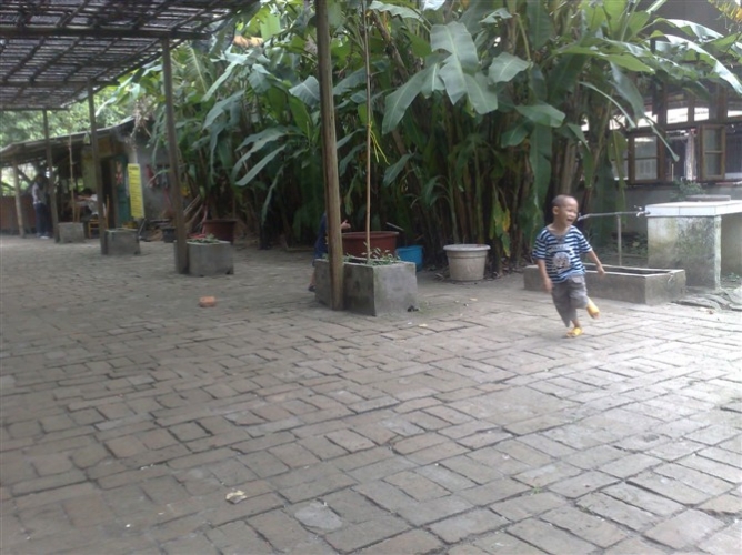 1004030539d29f3197c9339fac.jpg.thumb.jpg
