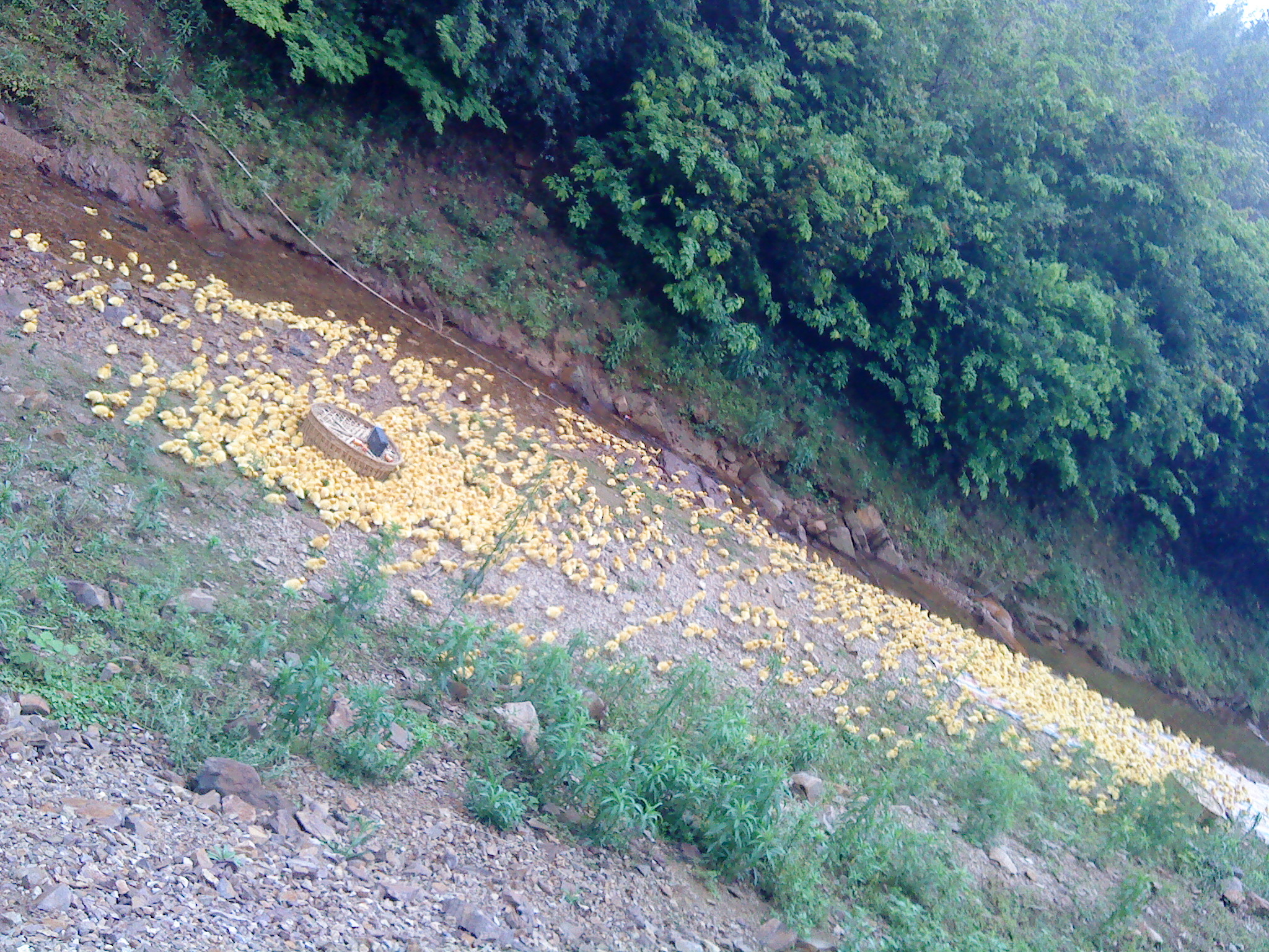 DSC00255.JPG