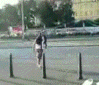 2_imgload.gif
