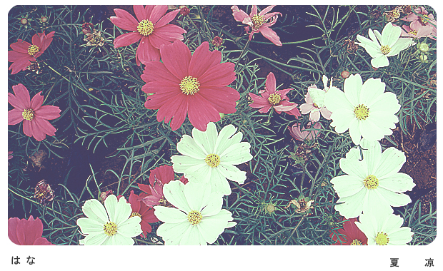 花 番.jpg