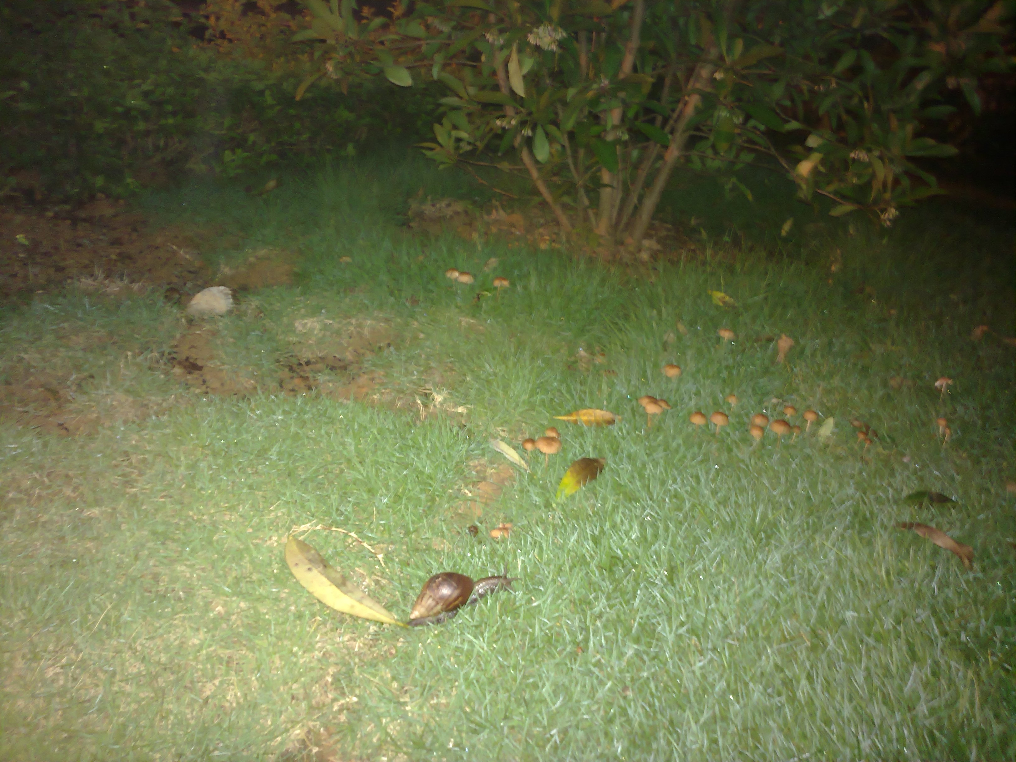 20100621464.jpg