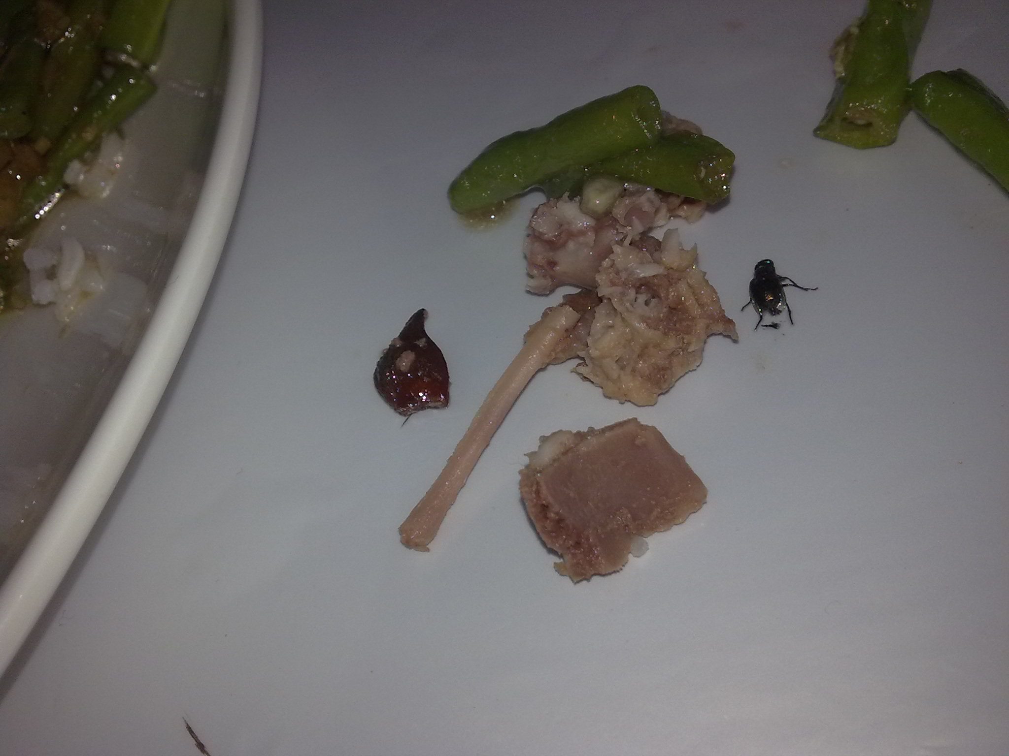 20100903040.jpg