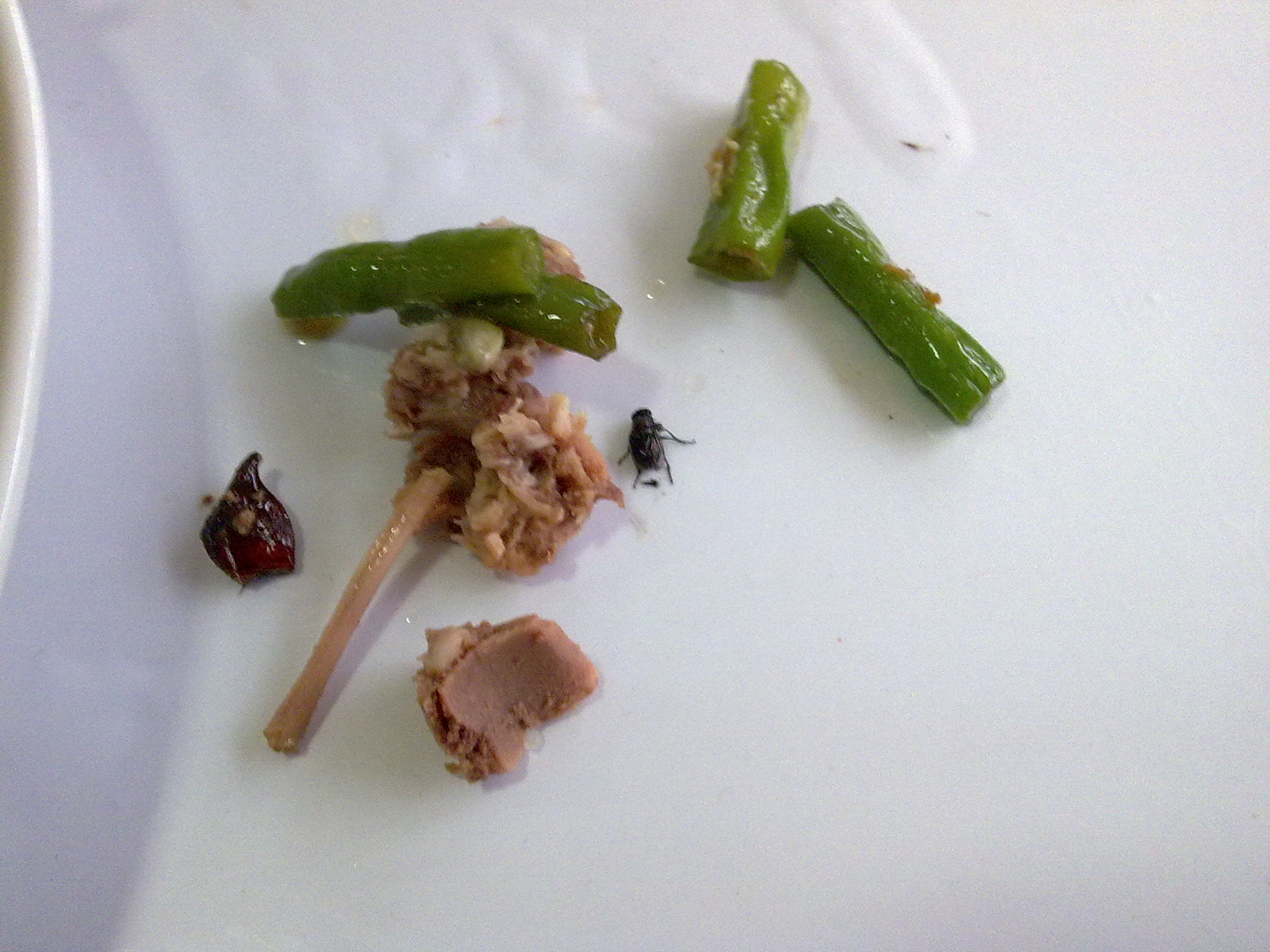 20100903037.jpg