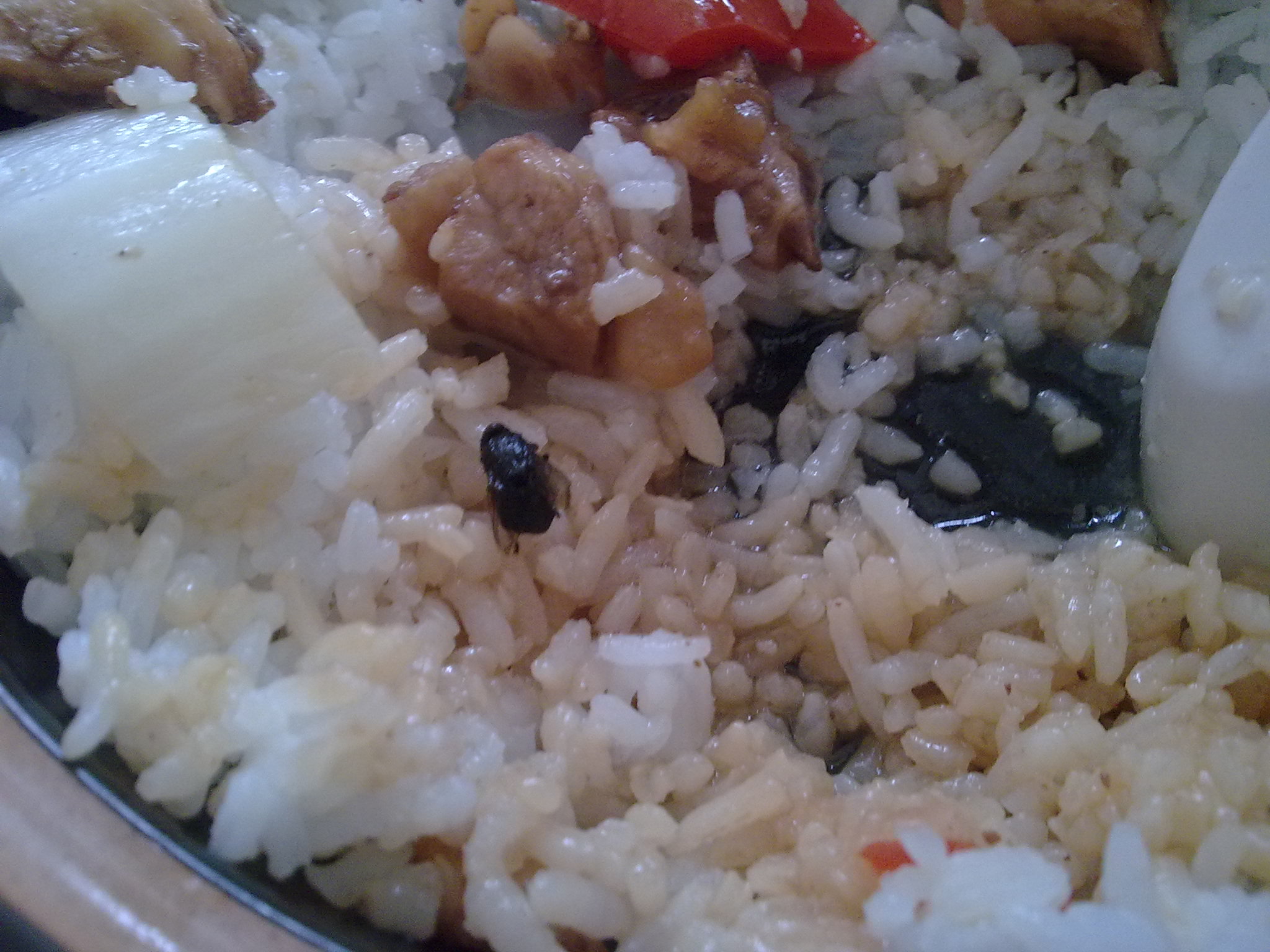 20100904041.jpg