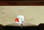 10.gif