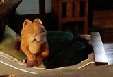 16.gif
