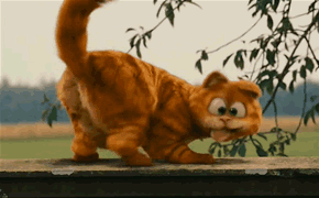 23.gif