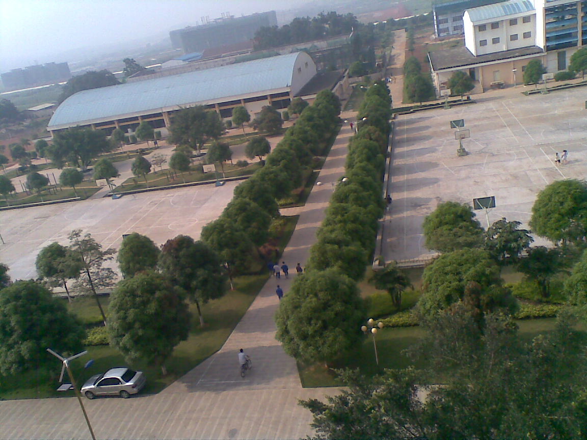 20100604(002).jpg