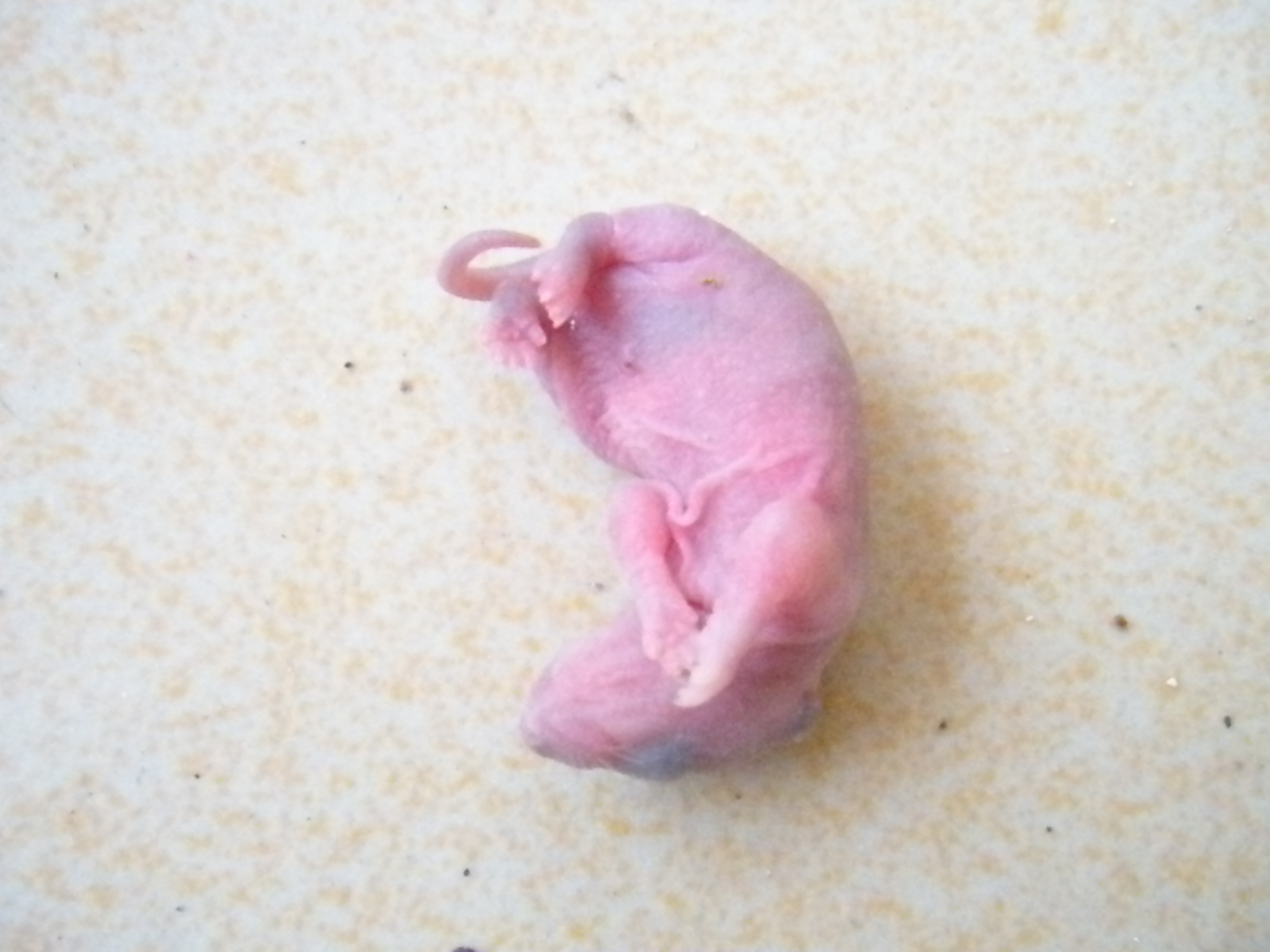 DSCN4318.JPG
