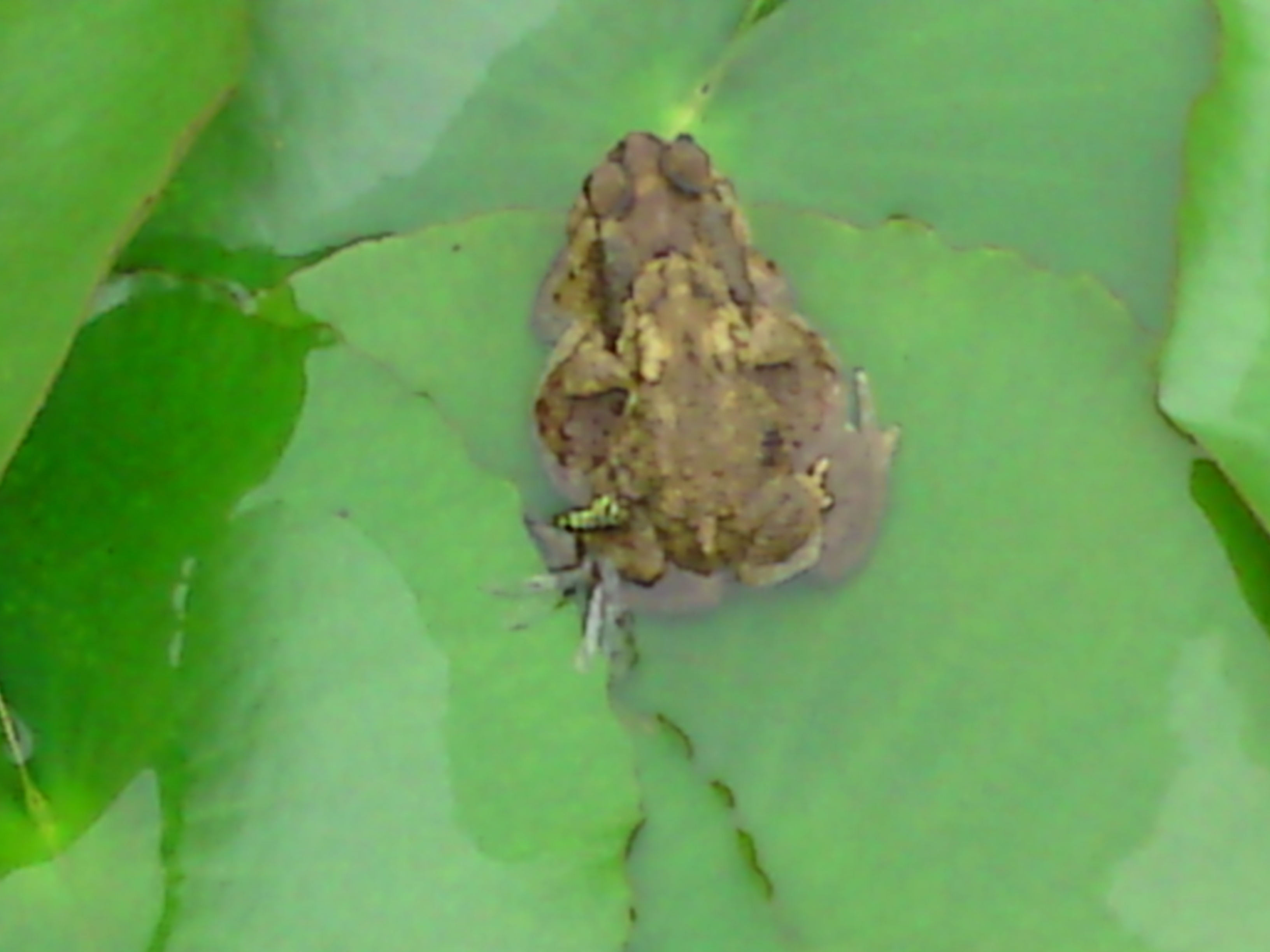 DSC00903.JPG