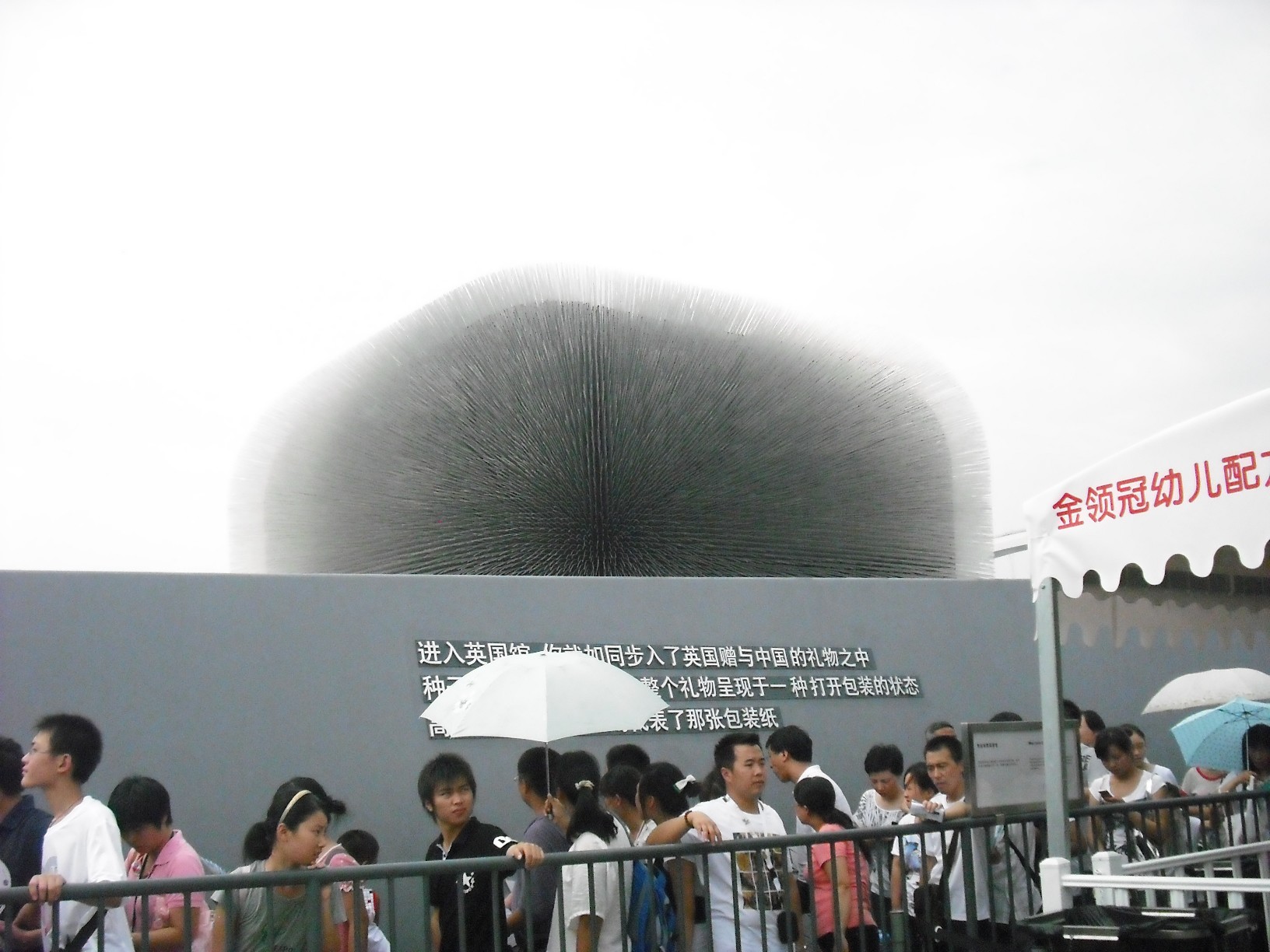 BigBull_DSCF1230.JPG