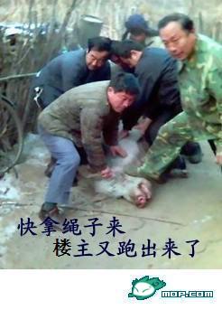 我的笑话讲完了...