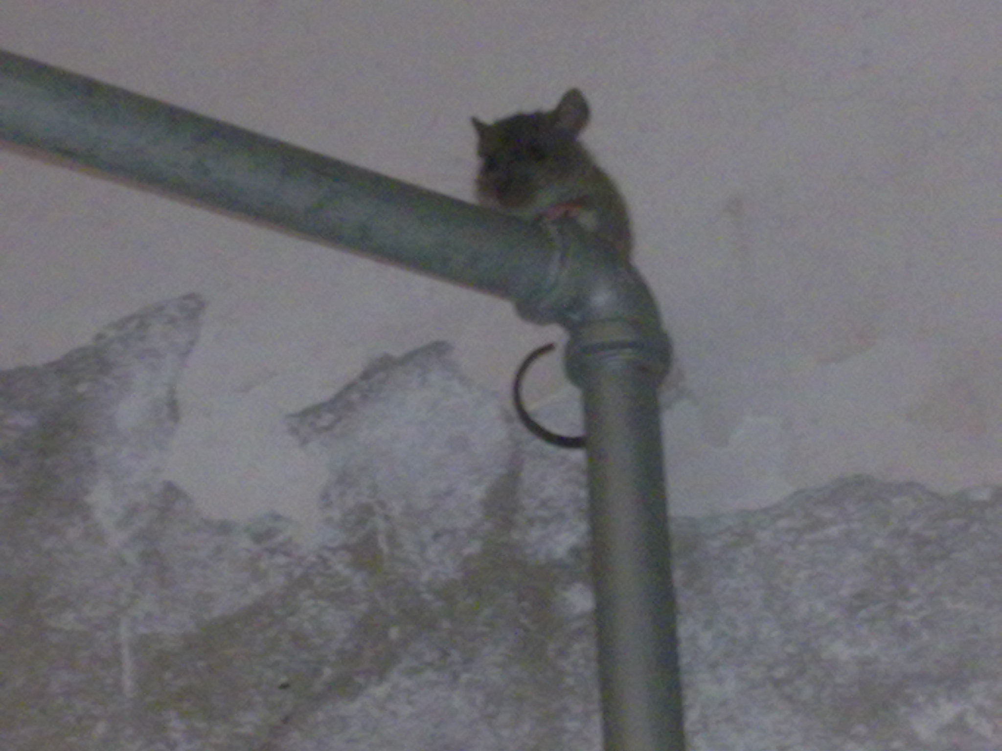 20101103015.jpg