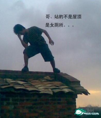 1289549067896.jpg