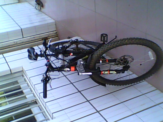 IMG1437A.jpg