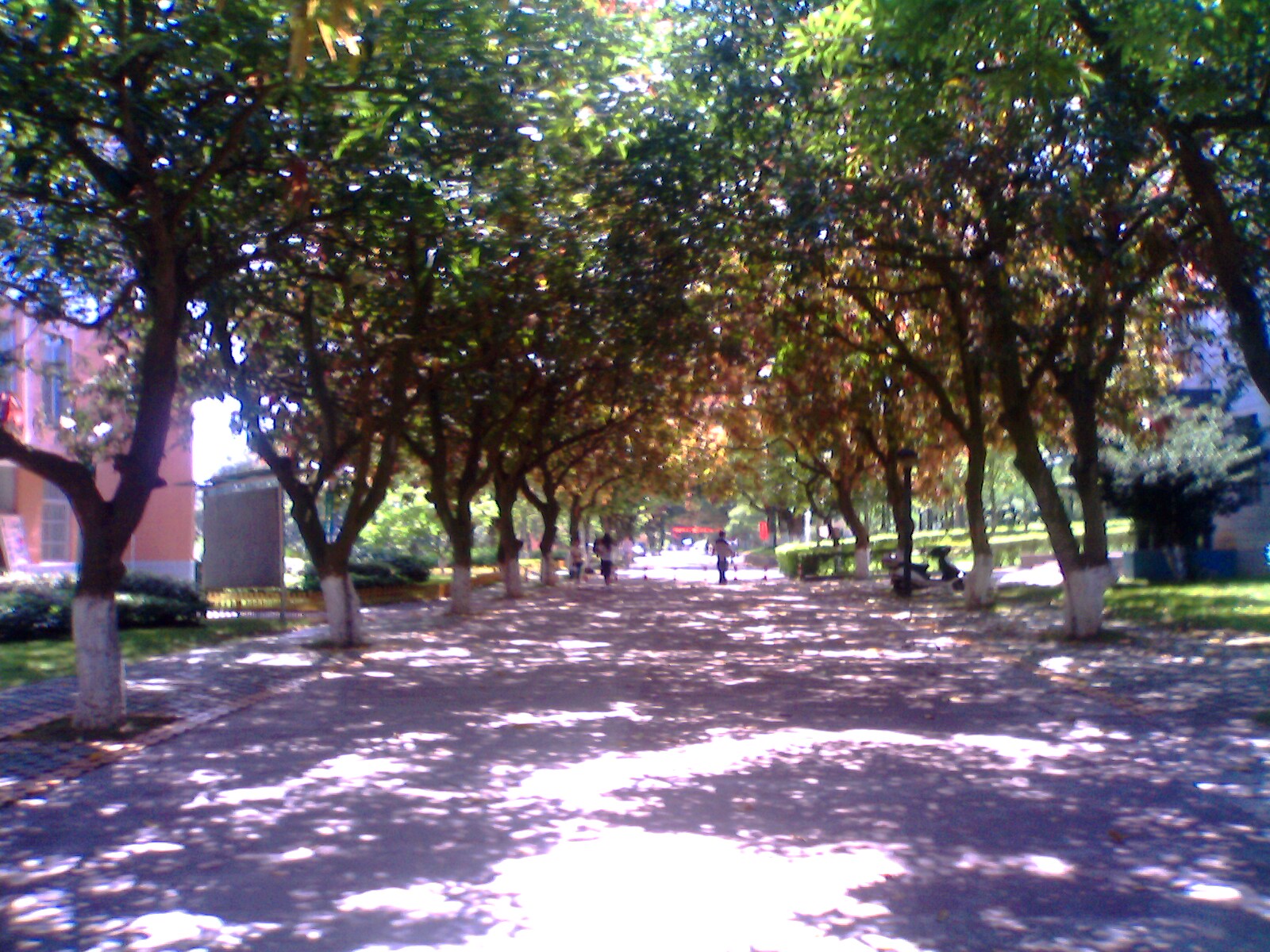 IMG0198A.jpg