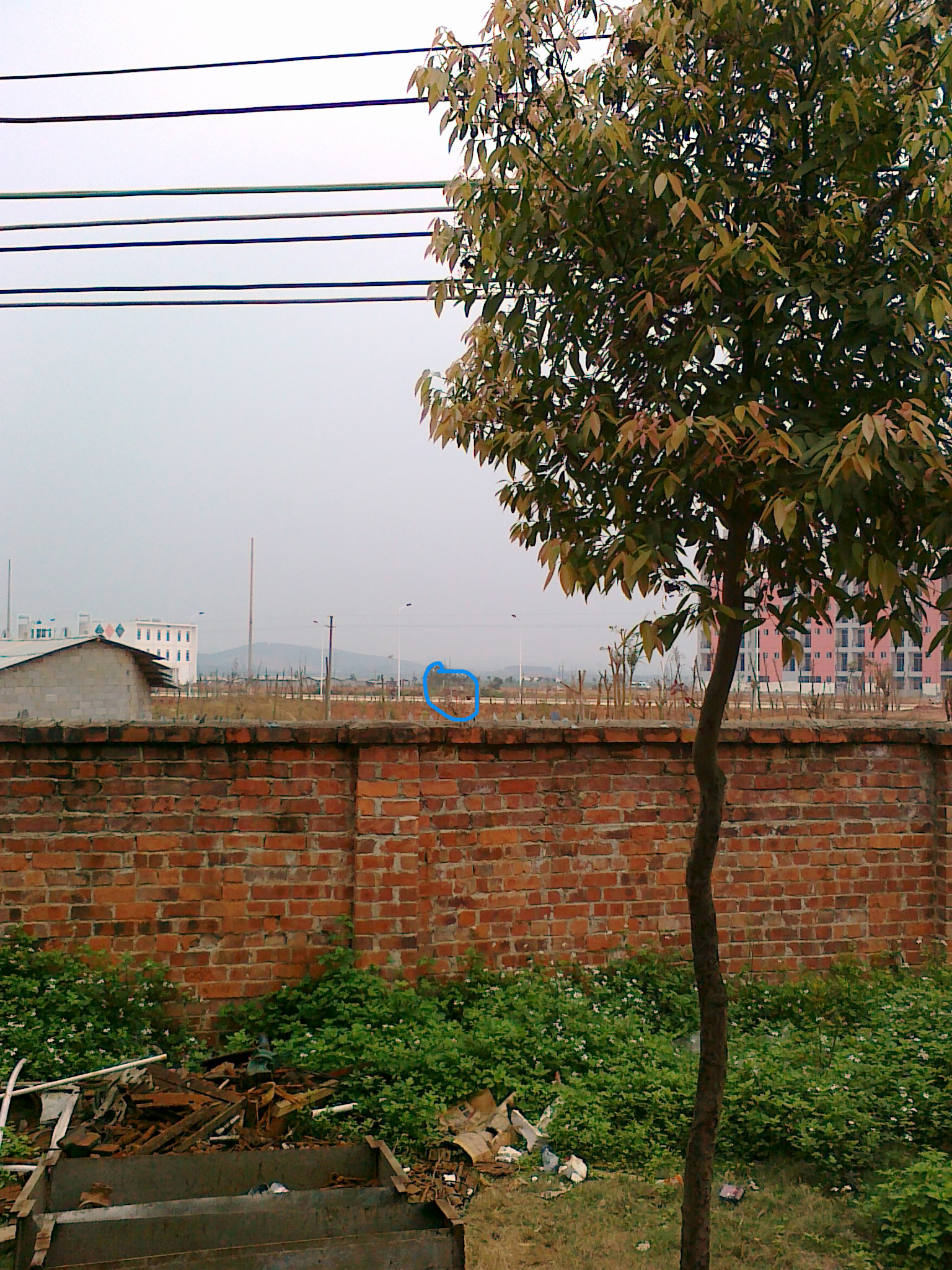 2011032 6149.jpg