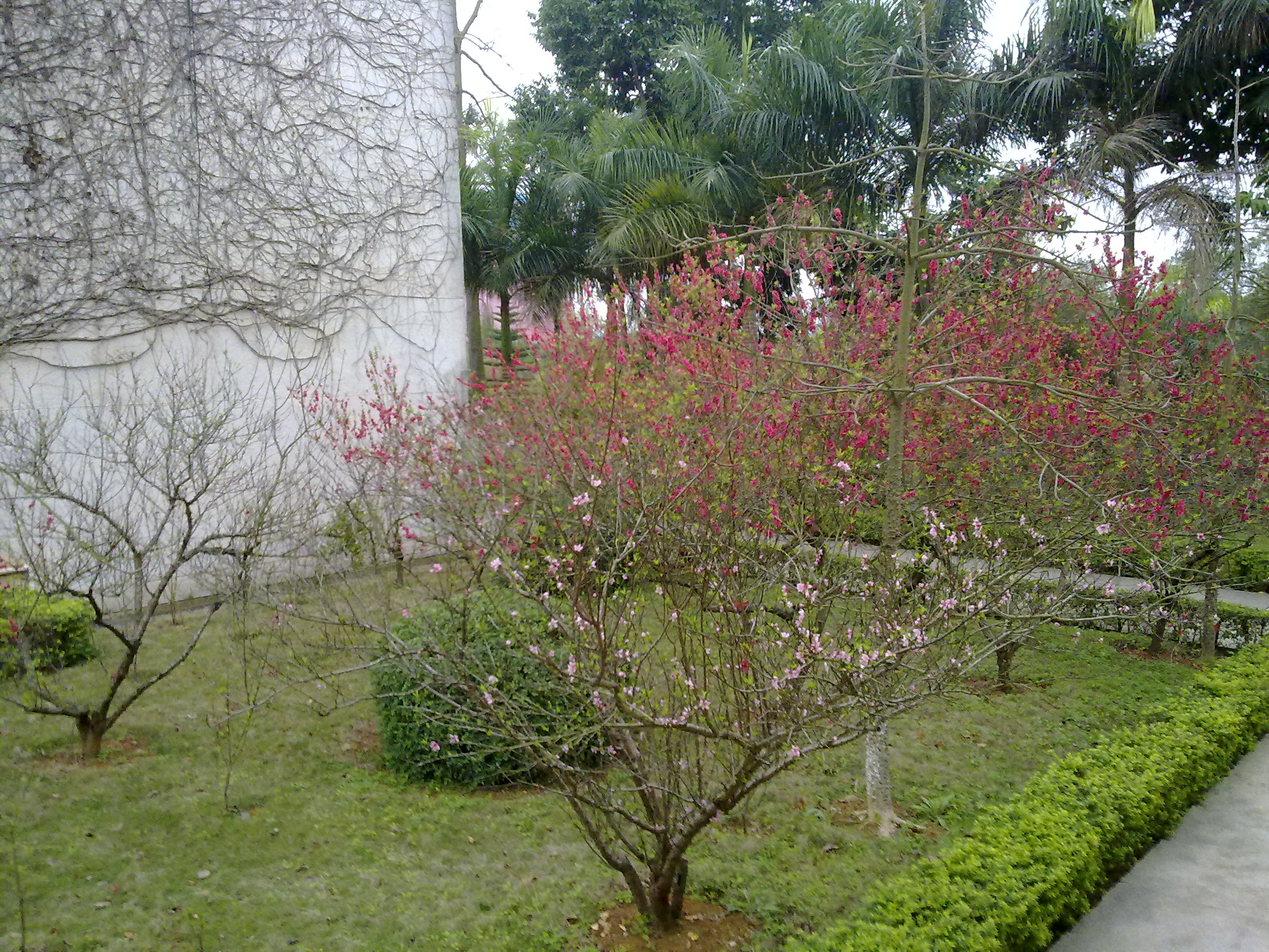 20110304713.jpg