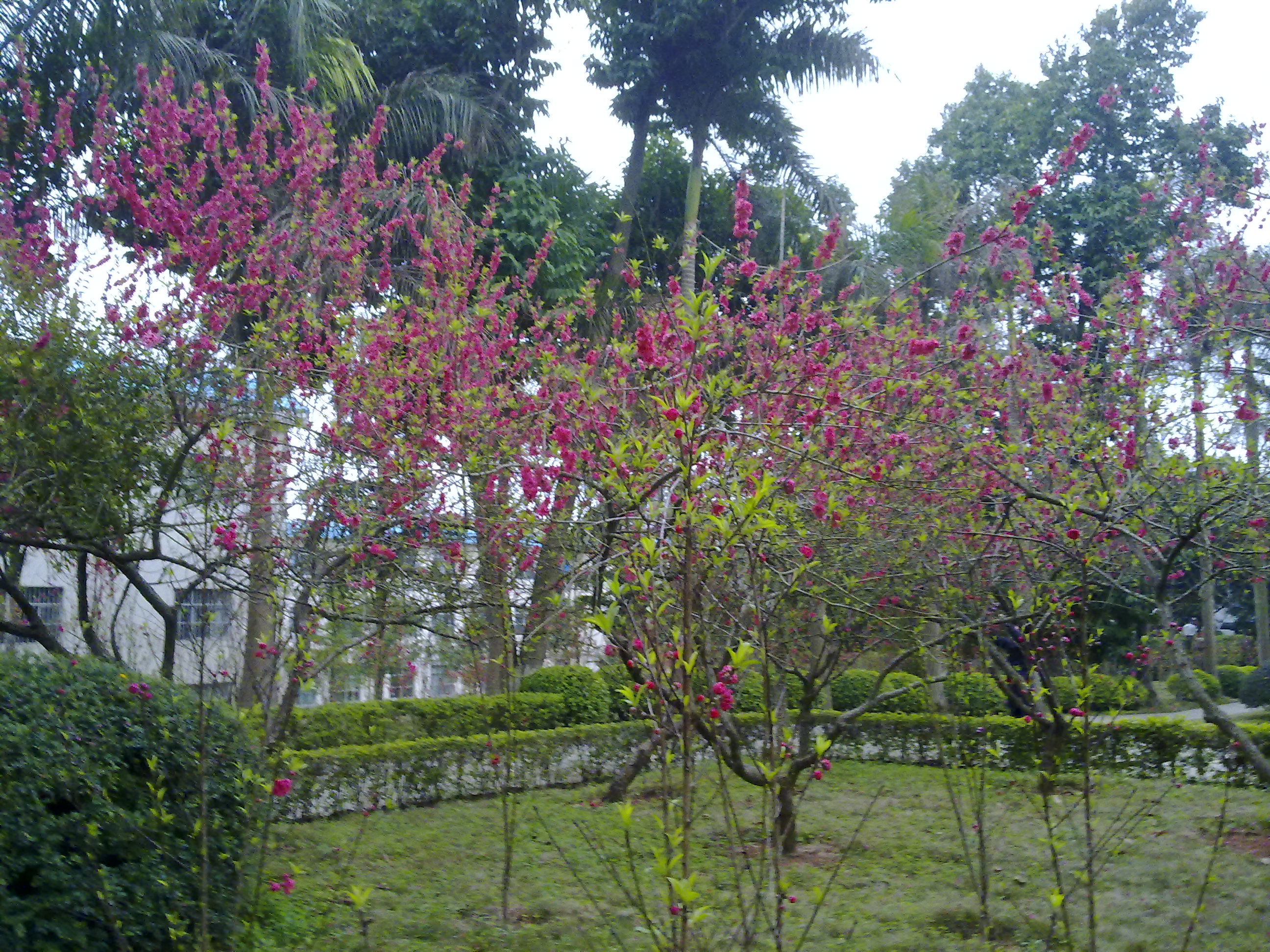 20110304709.jpg