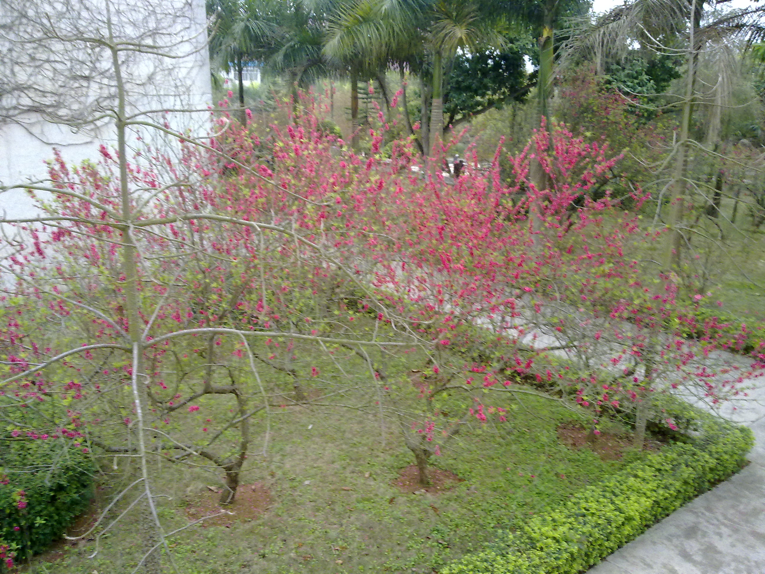 20110304714.jpg